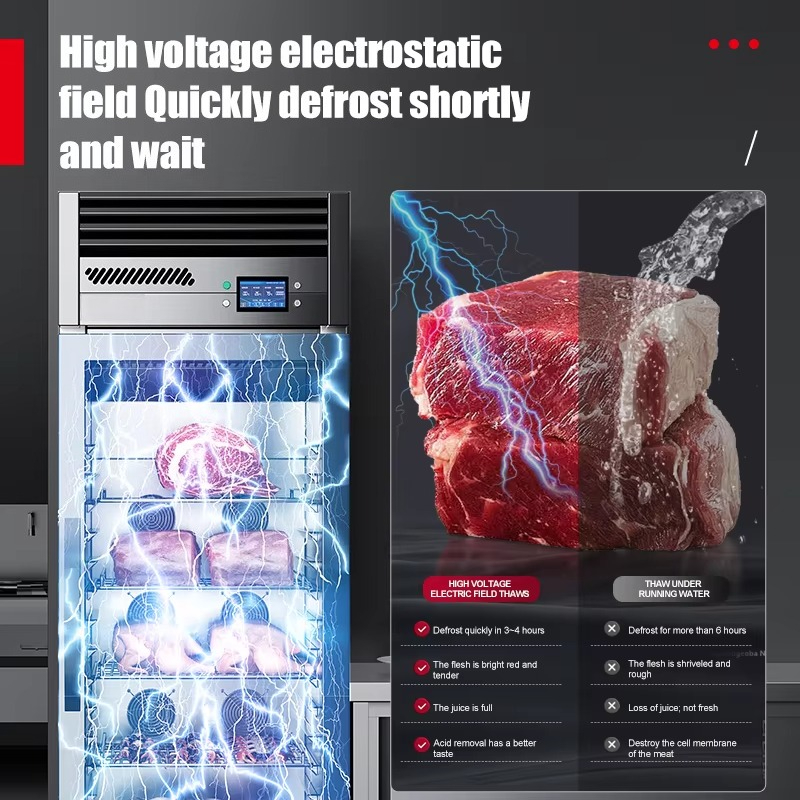 業務用厨房冷凍機器 HV静電スマート解凍庫（牛肉、羊肉、豚肉 - Commercial Kitchen Equipment のレビューと価格