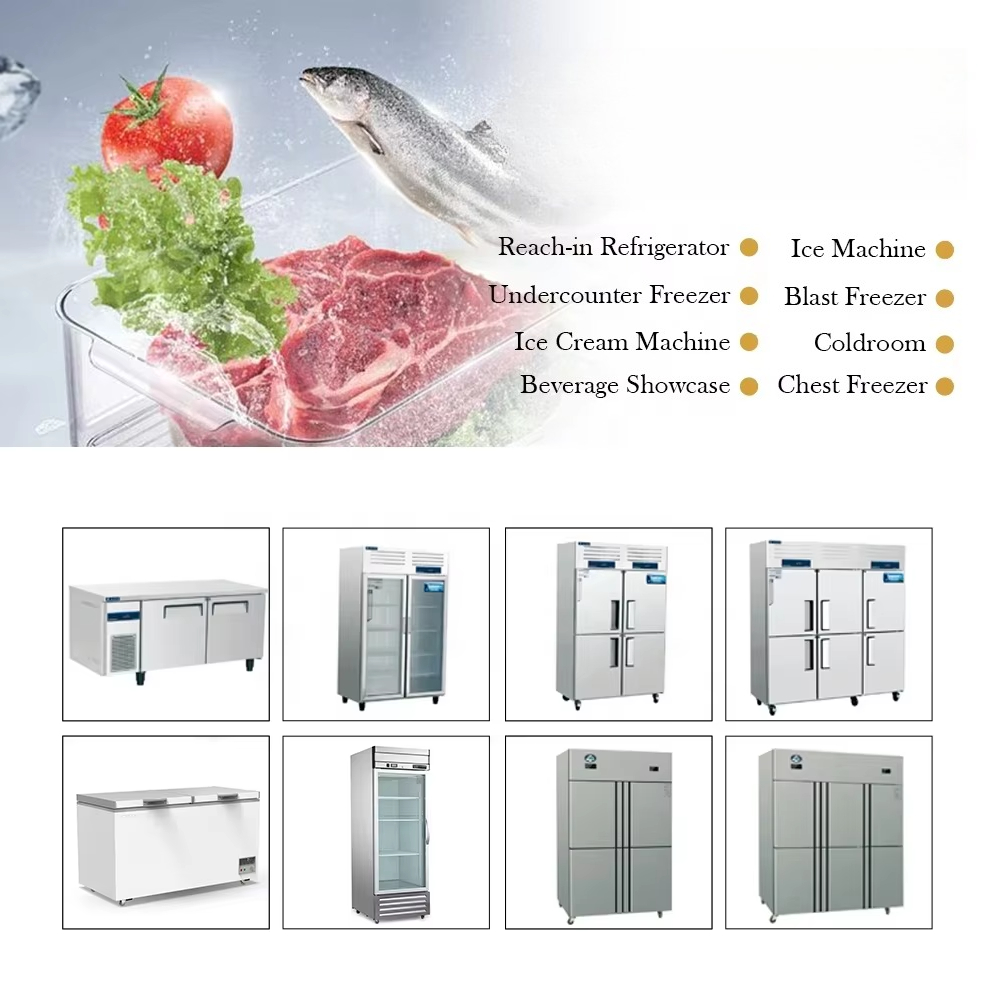 ベストセラーの近代的な自立型ステンレス製業務用厨房機器（学校 - Commercial Kitchen Equipment のレビューと価格