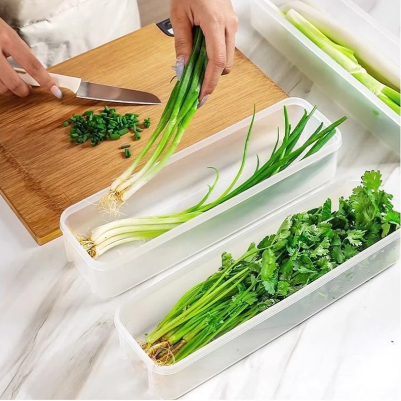 1/2/4個入り 青玉ねぎ鮮度保持保存容器 プラスチック製冷 - Commercial Kitchen Refrigerator のレビューと価格
